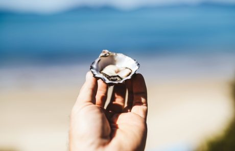 Swansea Beach Chalets 6